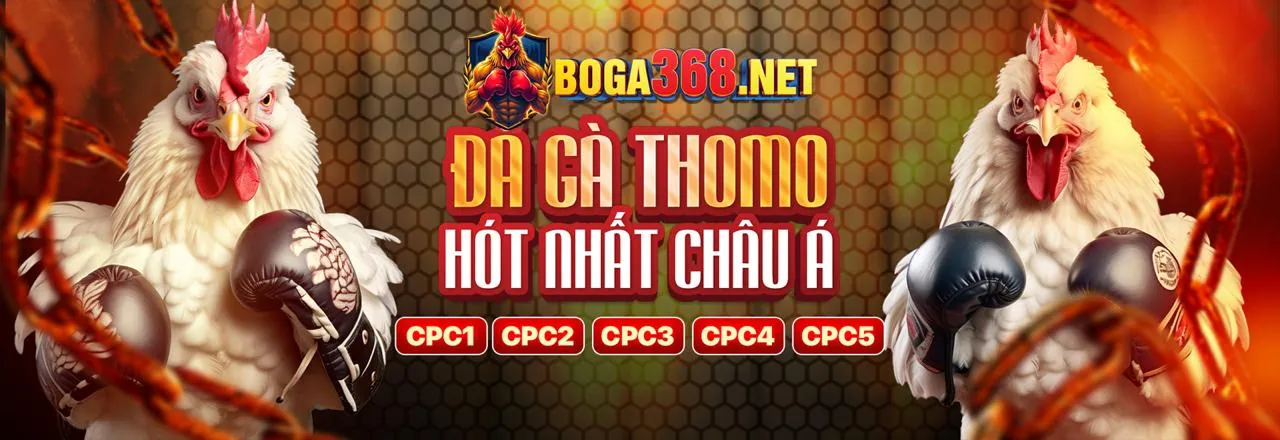 Sân đấu đá gà kịch tính tại lode88 code